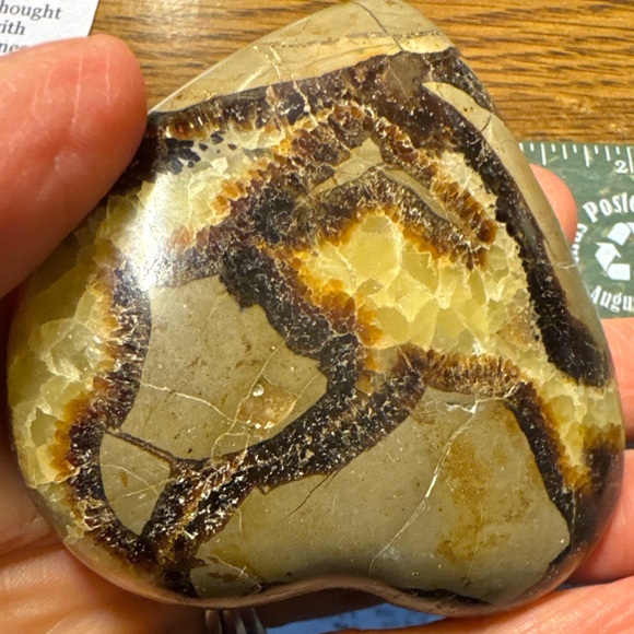 Beautiful Septarian heart shaped palm stone #3 - Picture 6 of 15